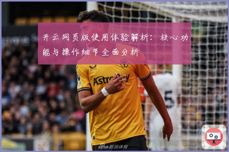 开云网页版使用体验解析：核心功能与操作细节全面分析
